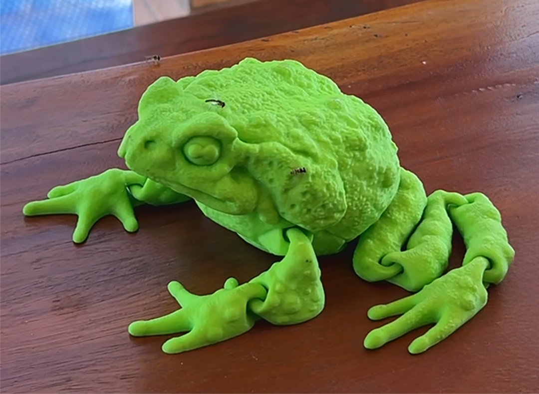 CANE TOAD FLEXI - Articulated Frog Toy Easy Print
