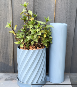 Self Watering Plant Saucer