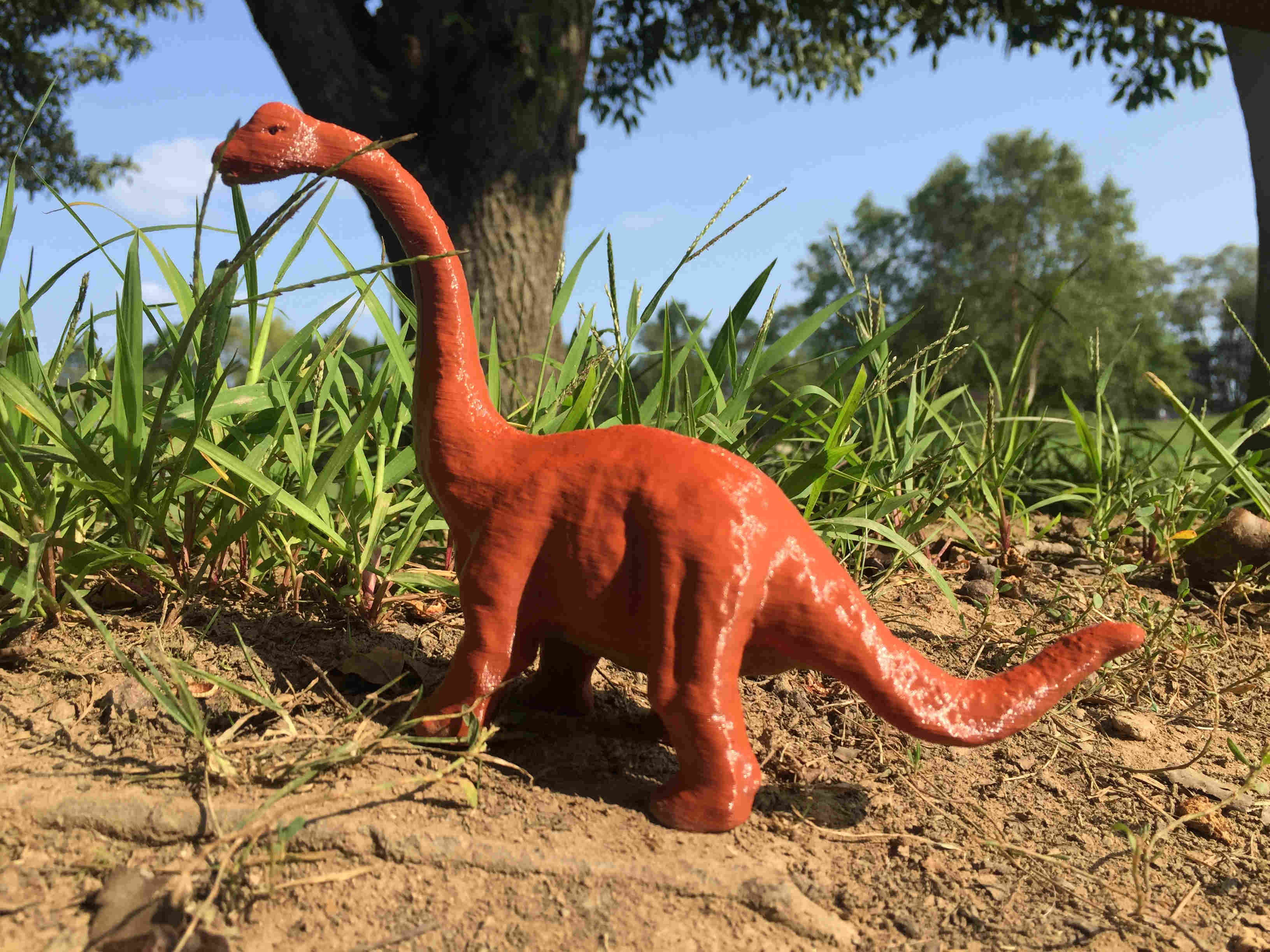 Apatosaurus