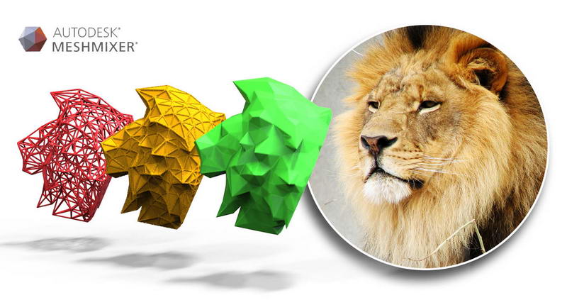 lion