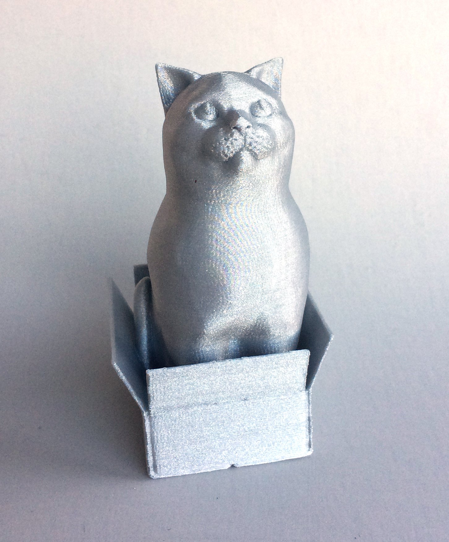 Image of Schrodinky: British Shorthair Cat Sitting In A Box(single extrusion version)