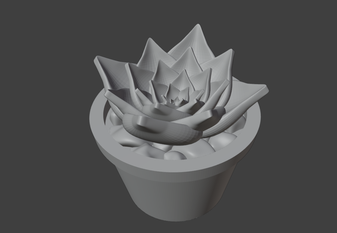 Succulent in pot 1