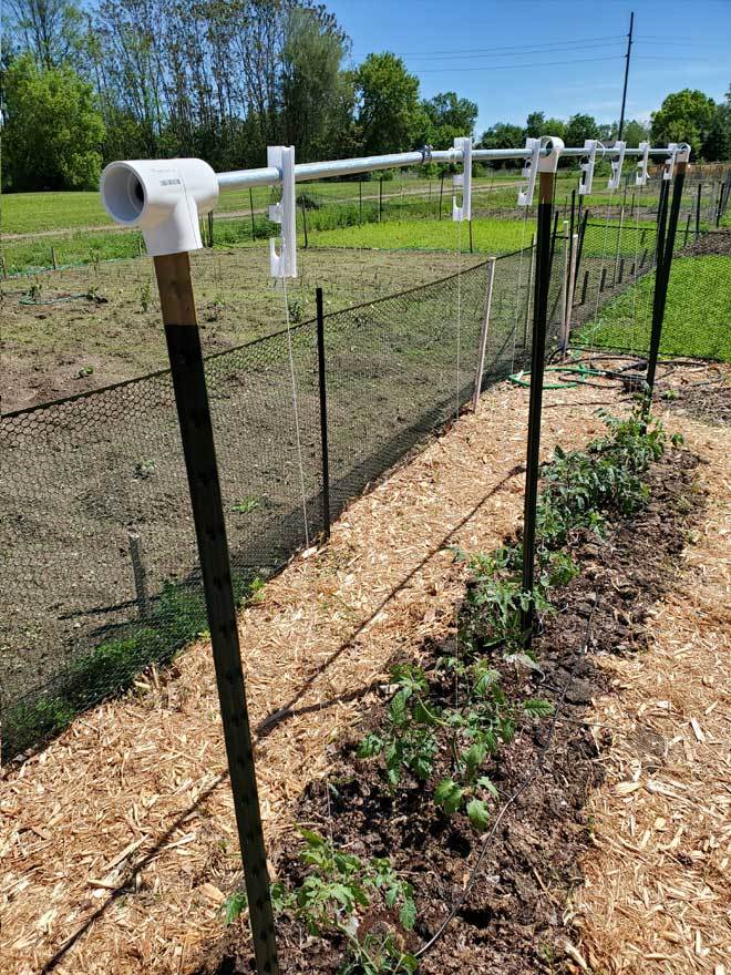 Lower and Lean Hook for Tomato/Cucumber/Zucchini String Trellis