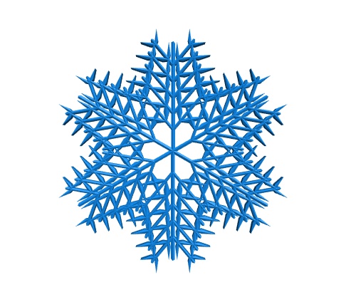 Randomized leafy snowflake