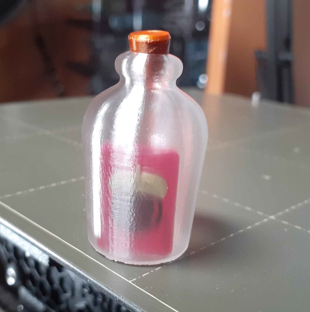 Glass Bottle Vase Mode, with cork