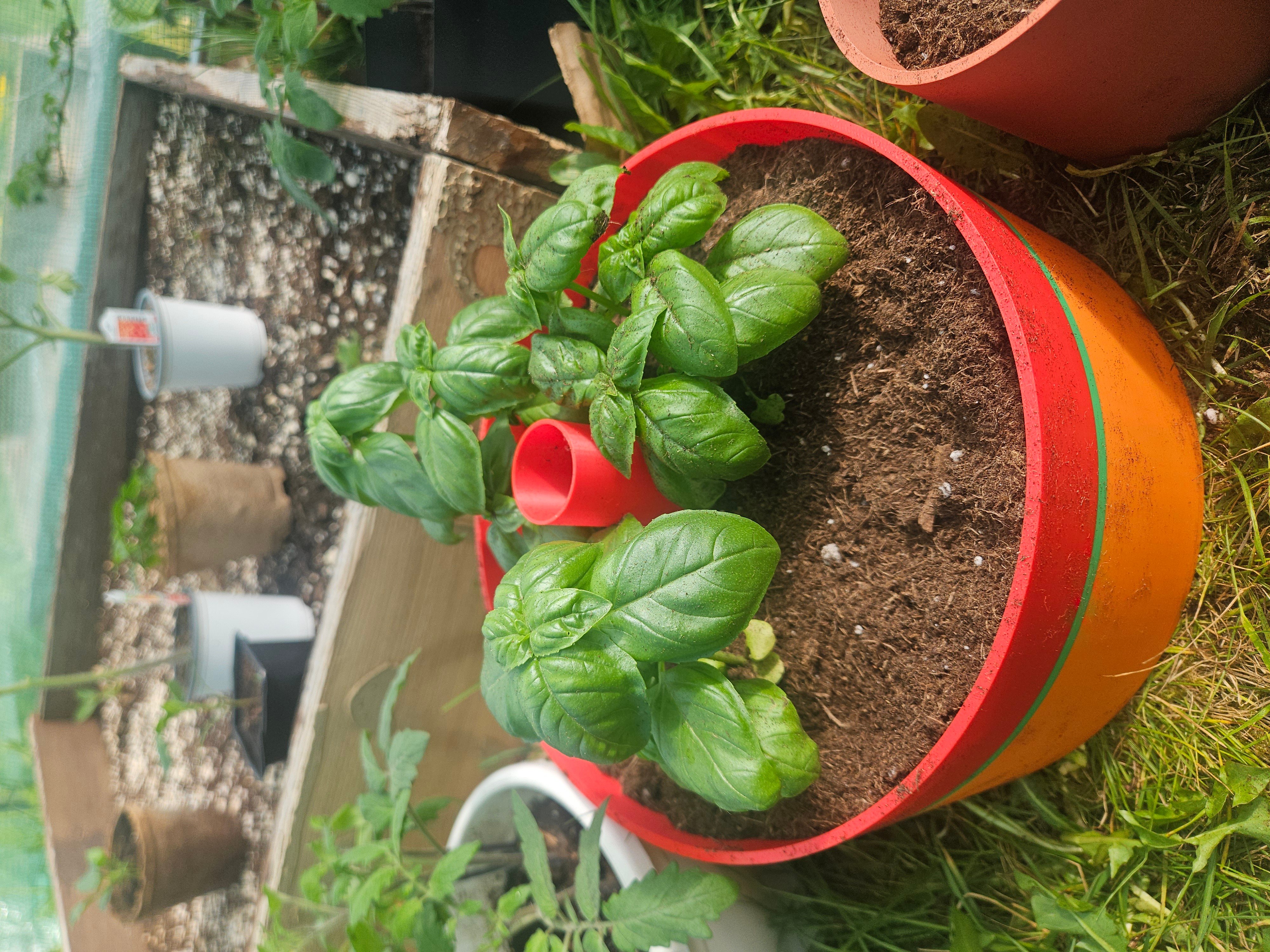 DeepRoot Watering Planter