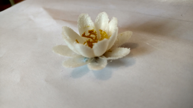 Lilypad Flower