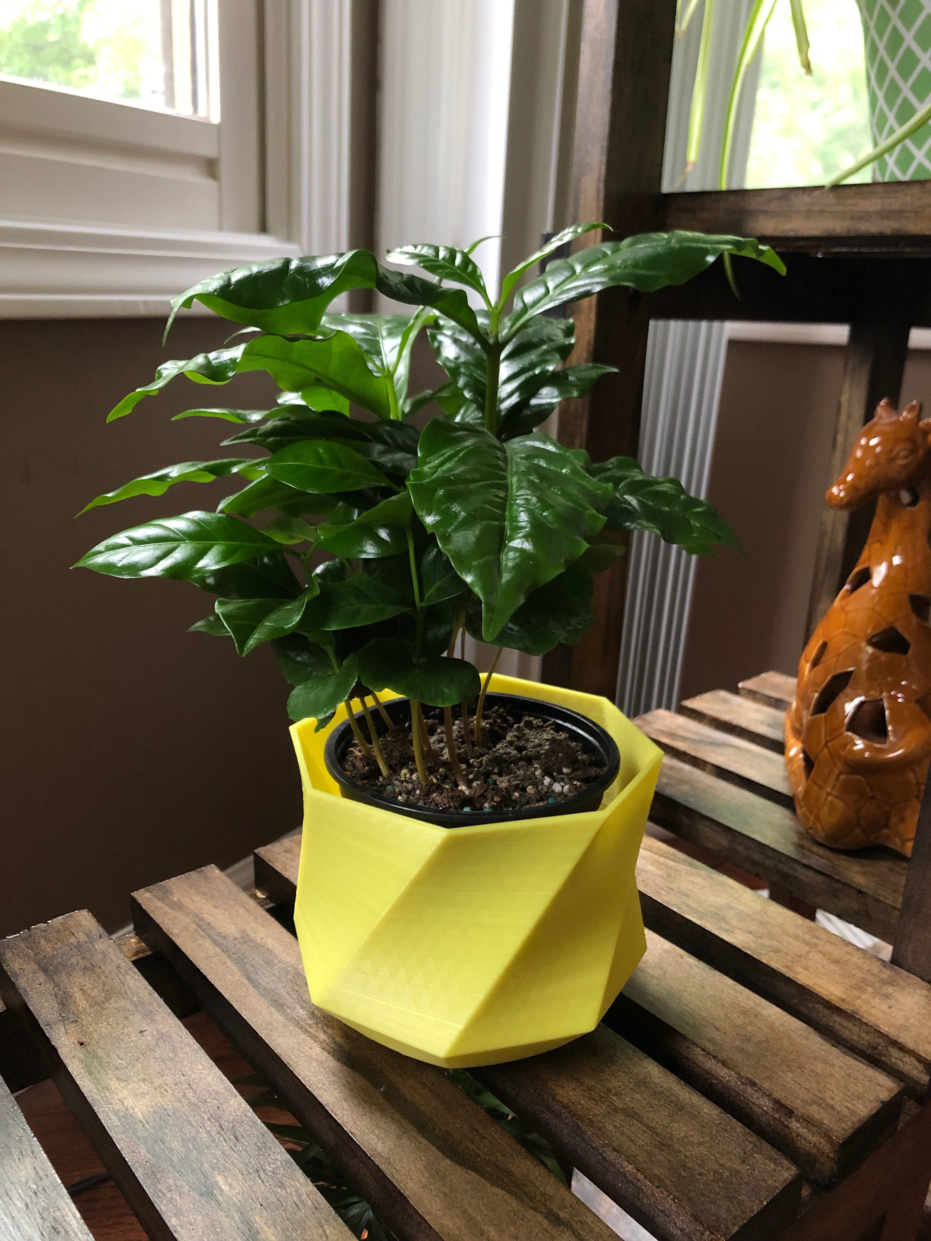 Modern Flower Pot