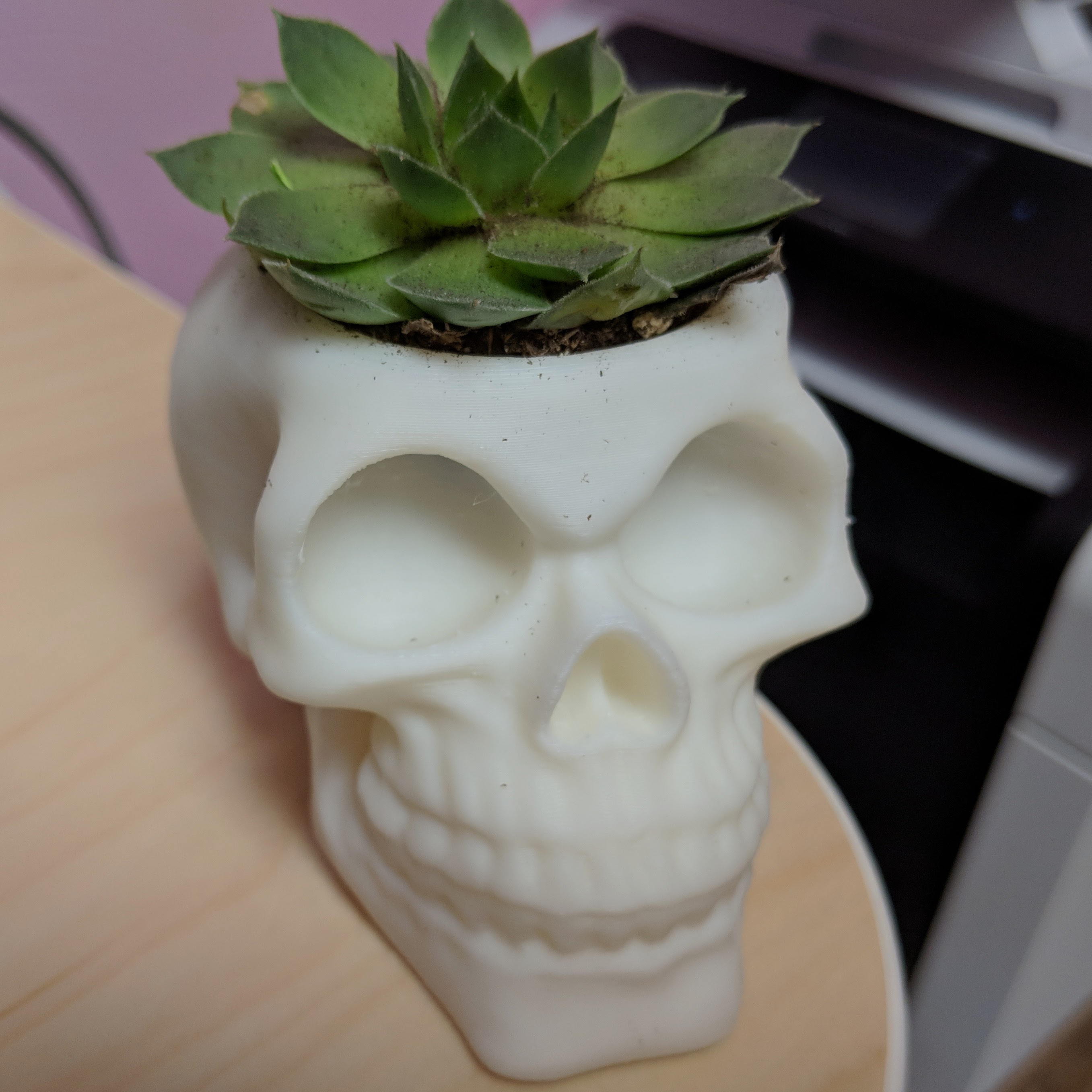 Skull Planter