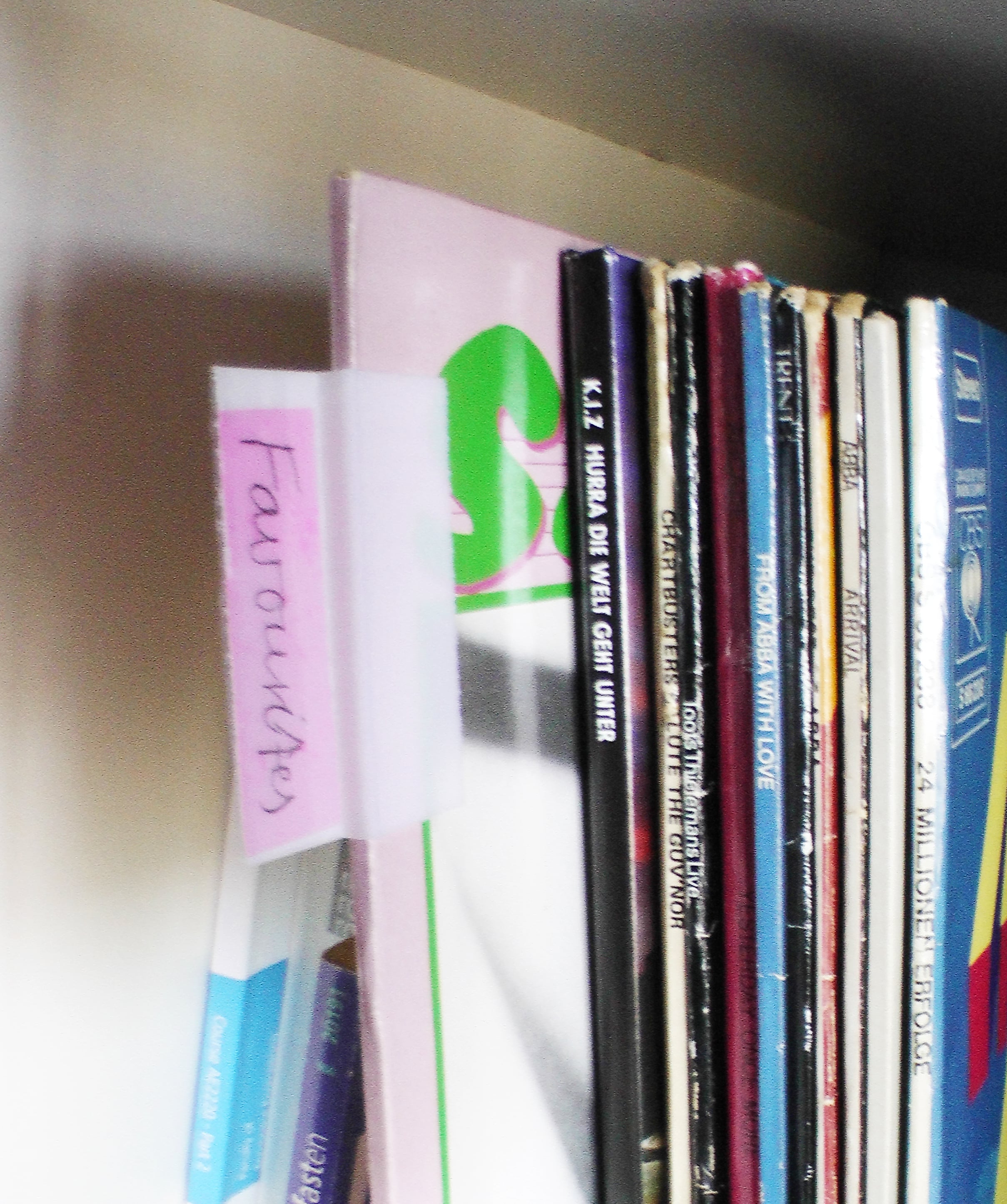 Vinyl Record Collection - Register tabs separator
