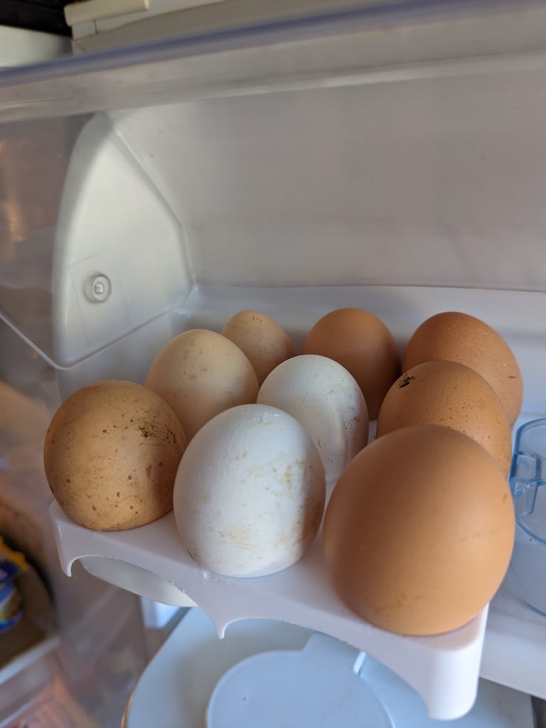 Square egg tray, 9 eggs