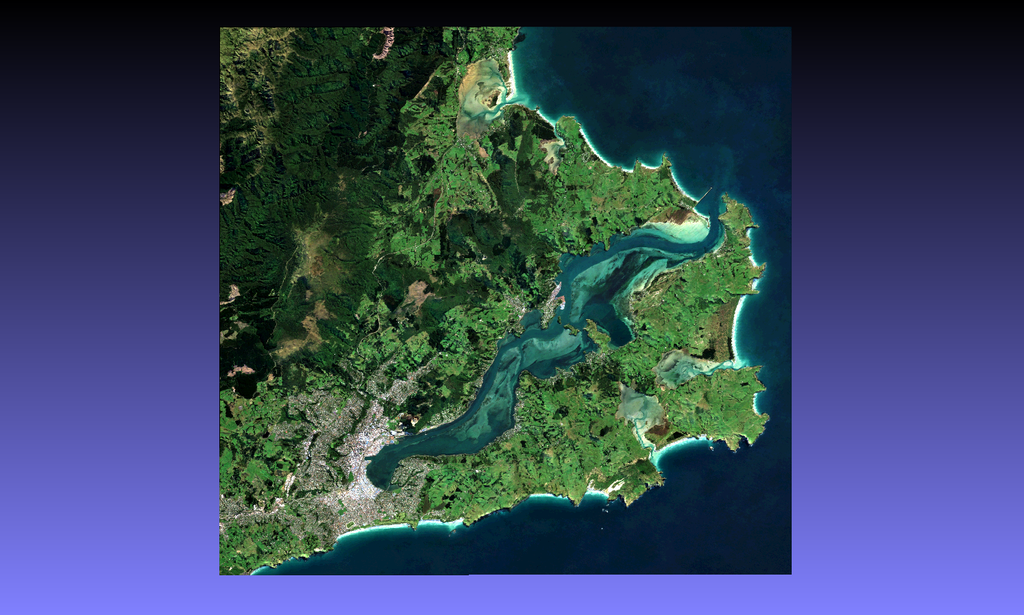 Dunedin (Ōtepoti), New Zealand (Colour)