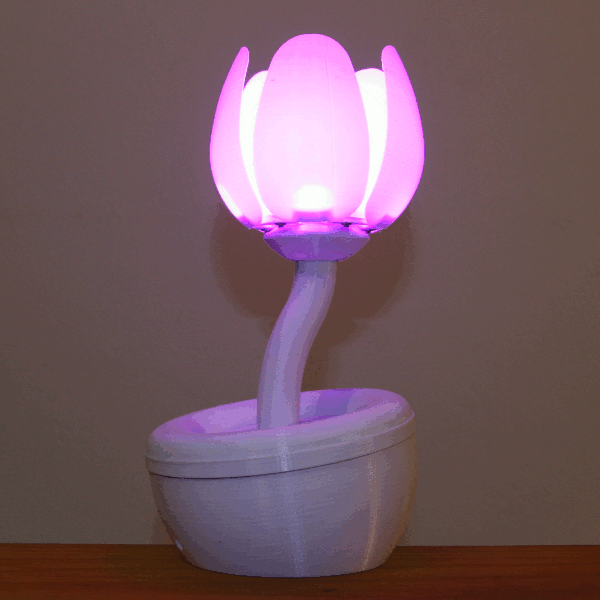 Blooming Flower Night Light