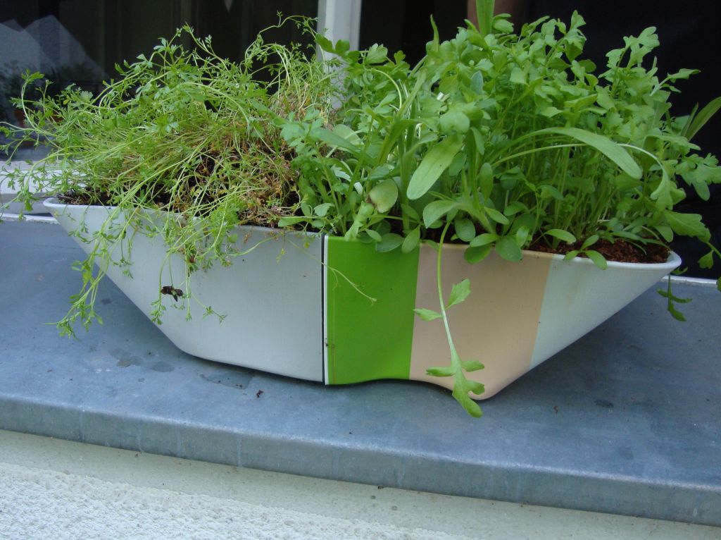 flower pot