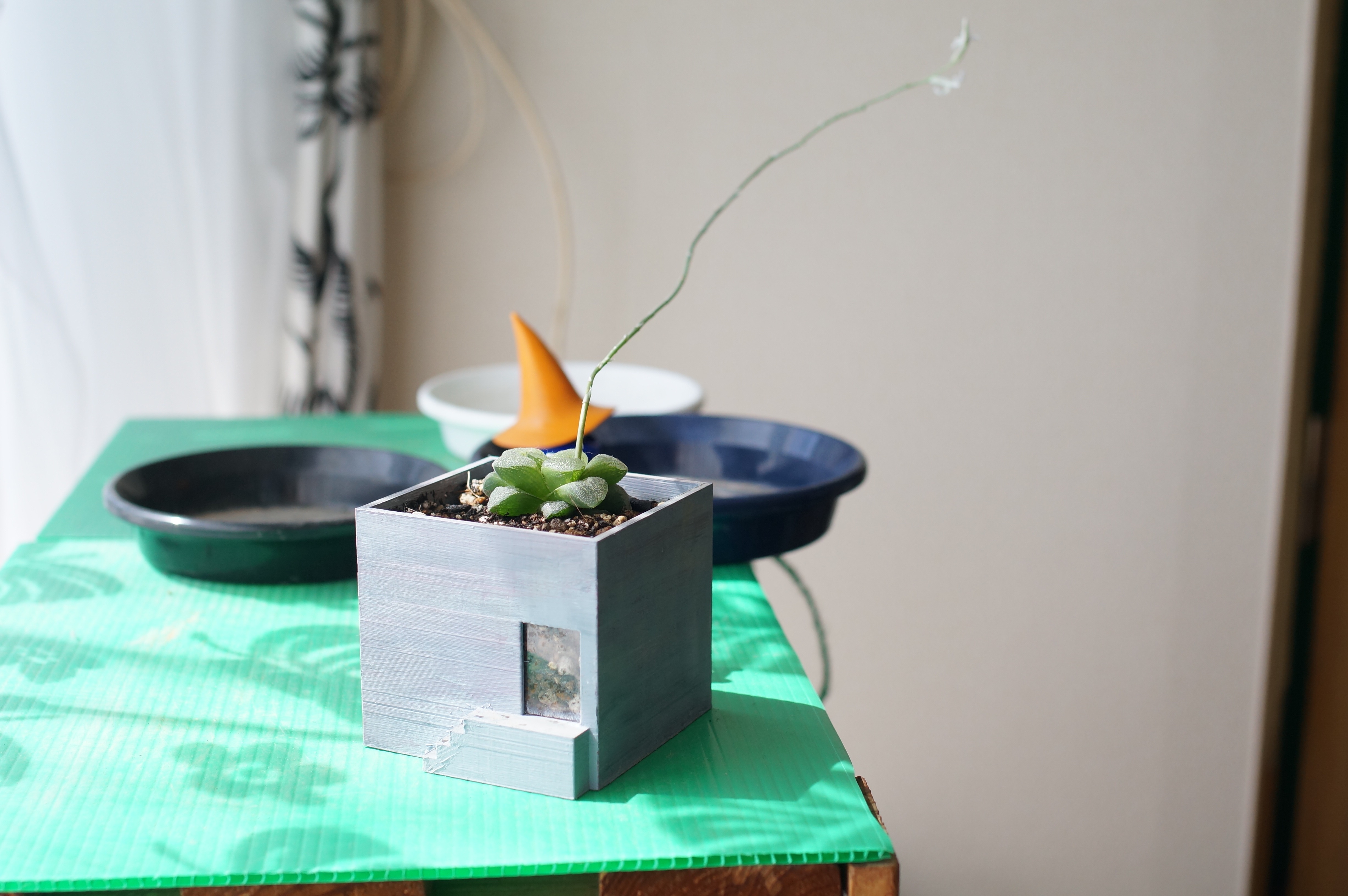Ruins Planter 4