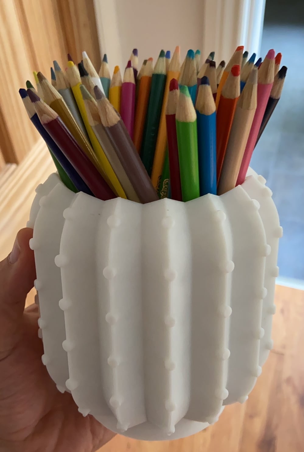 Cactus Pencil or Pen Pot