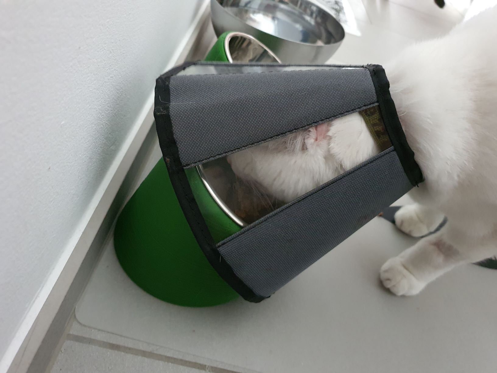 Pet Bowl Riser