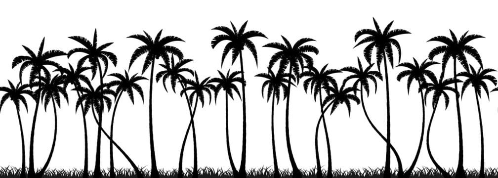 Palm Trees wall art
