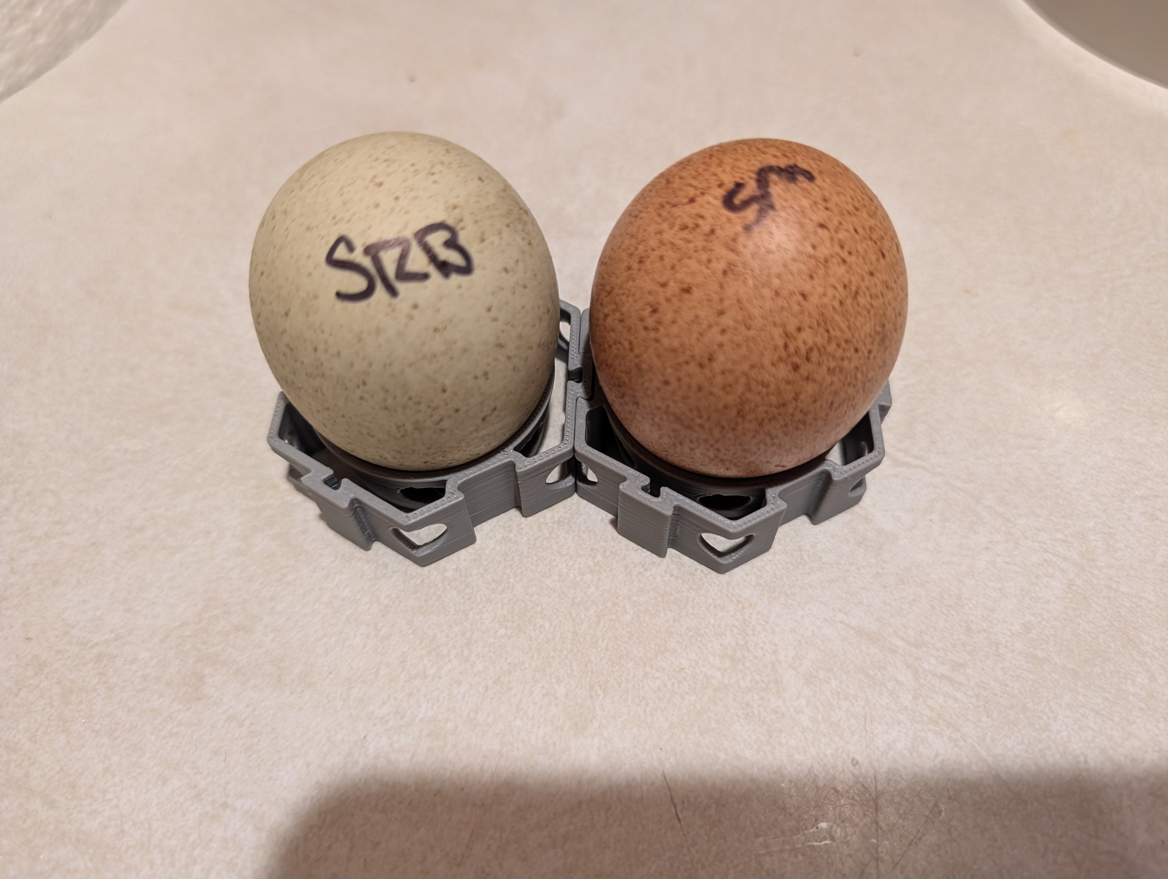 Vented Egg tray