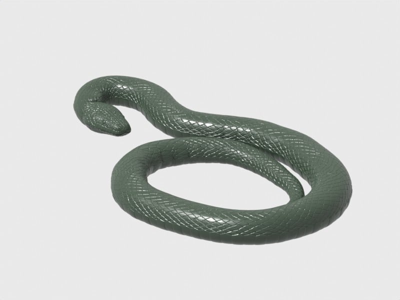 Giant Constrictor Snake - Flexible Pose to Constrict Target! (+Support-free +Rigged for Posing)