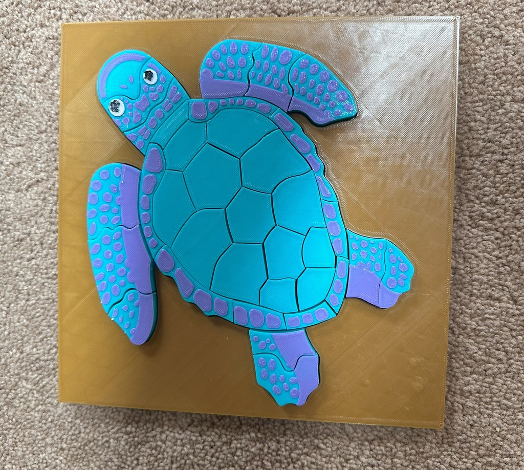 Survivor Turtle Puzzle