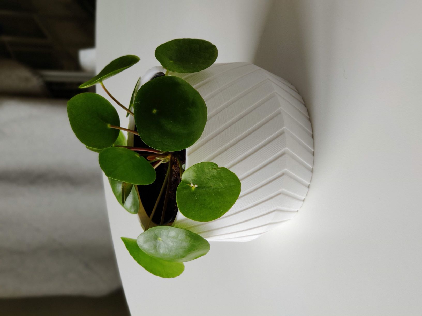 Modern Small Pot #2
