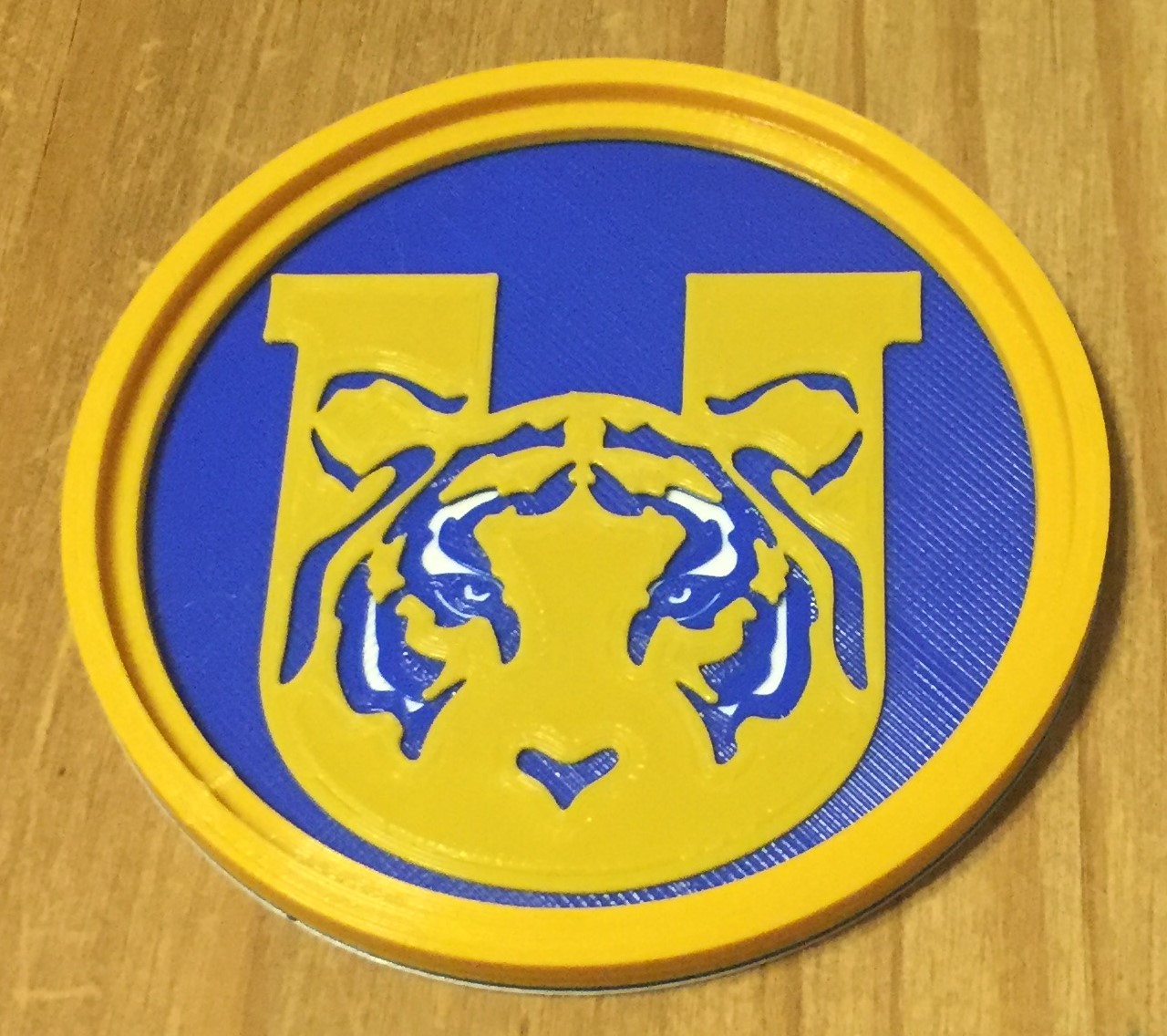 Tigres UANL Coaster