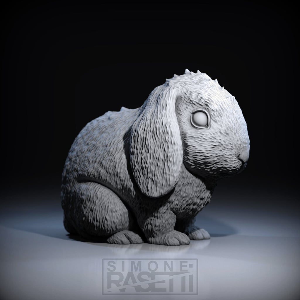 Rabbit