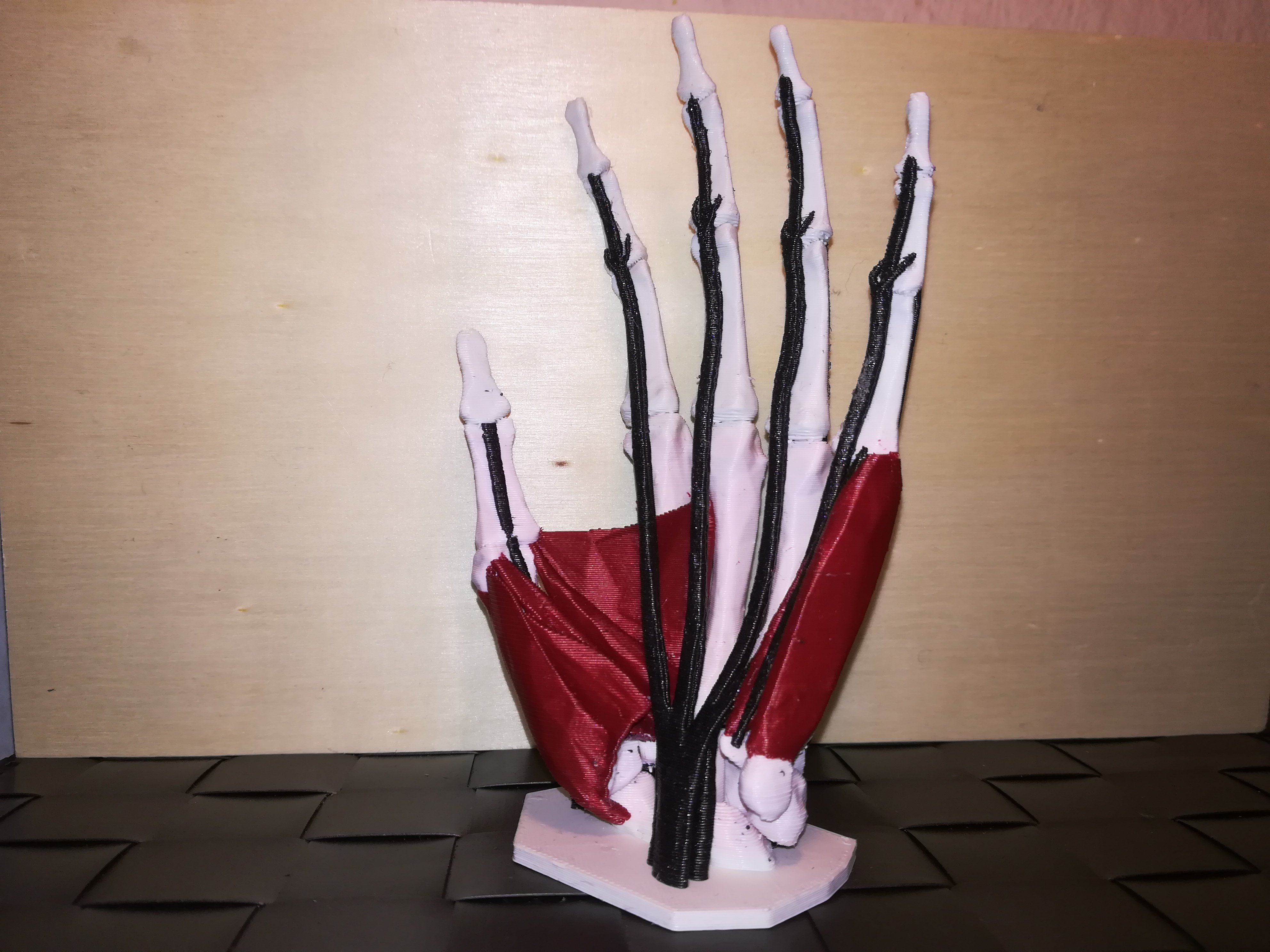 Anatomic Hand (multi material)
