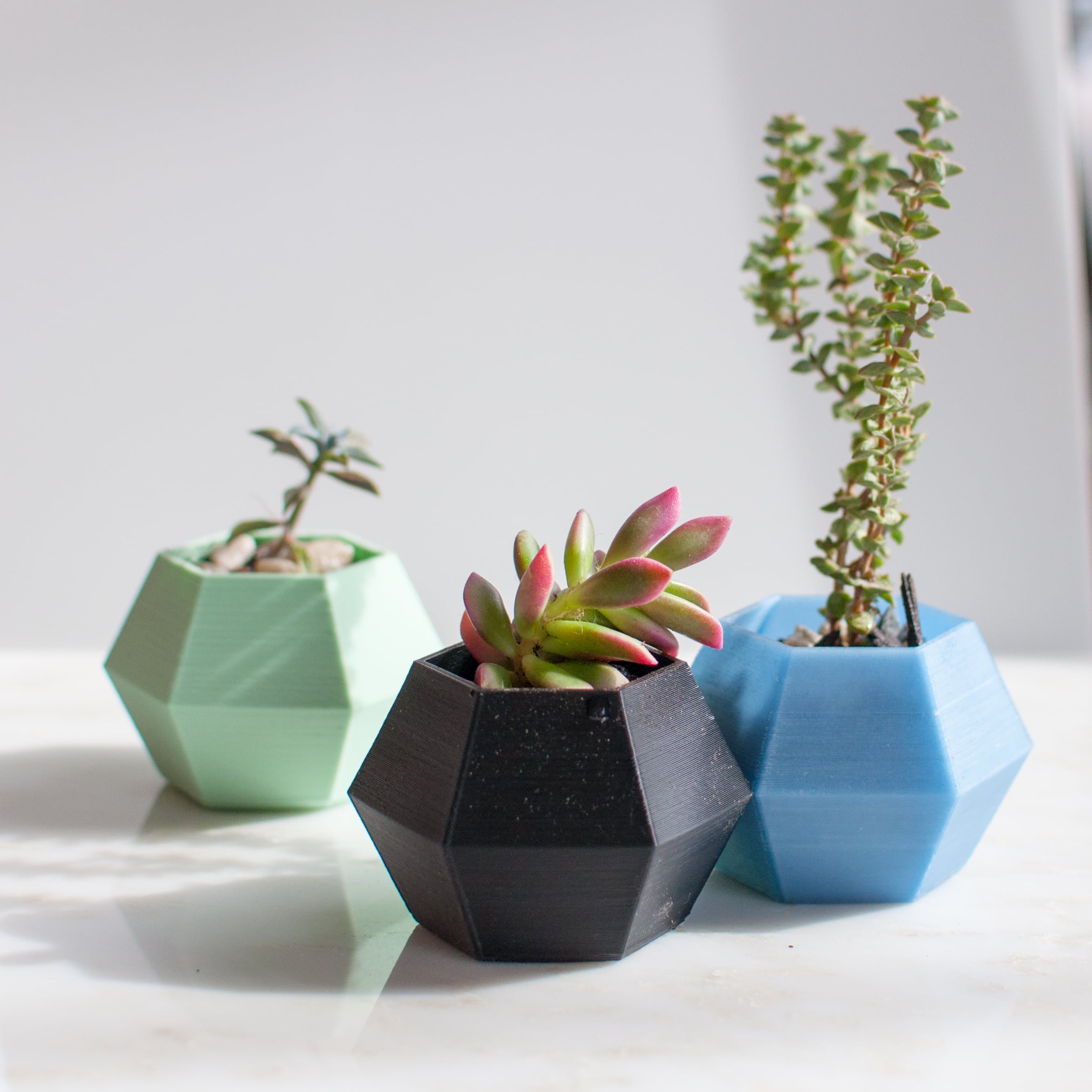 Hexagon Succulent Planter