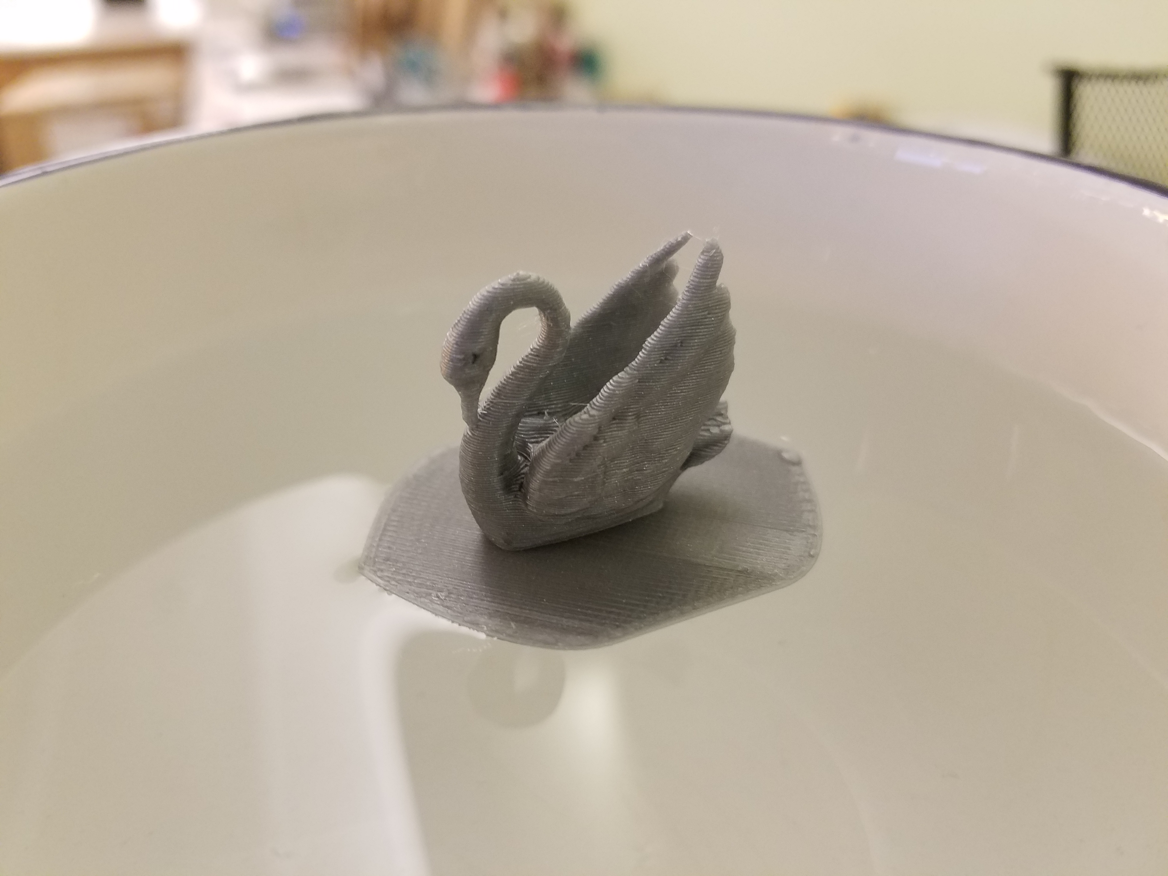 Floating Odile the Swan