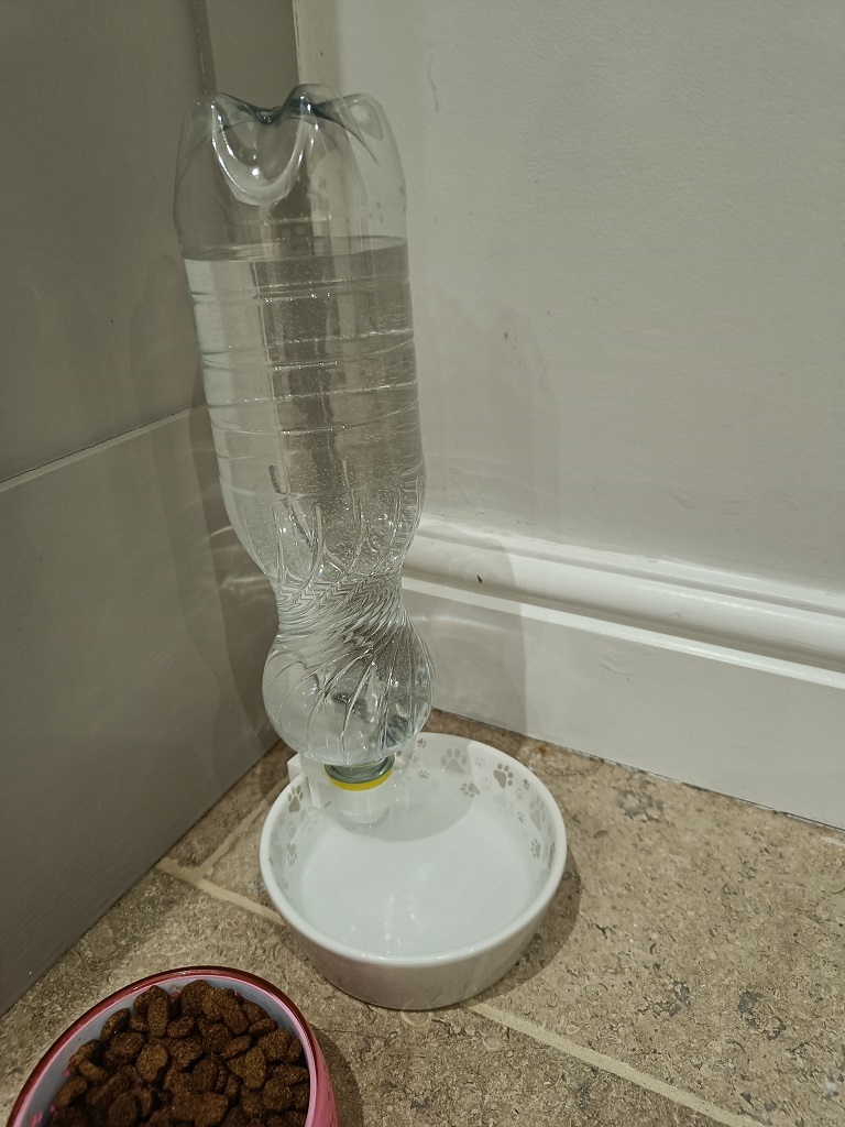 Cat Dog PET bottle simple food bowl water dispenser