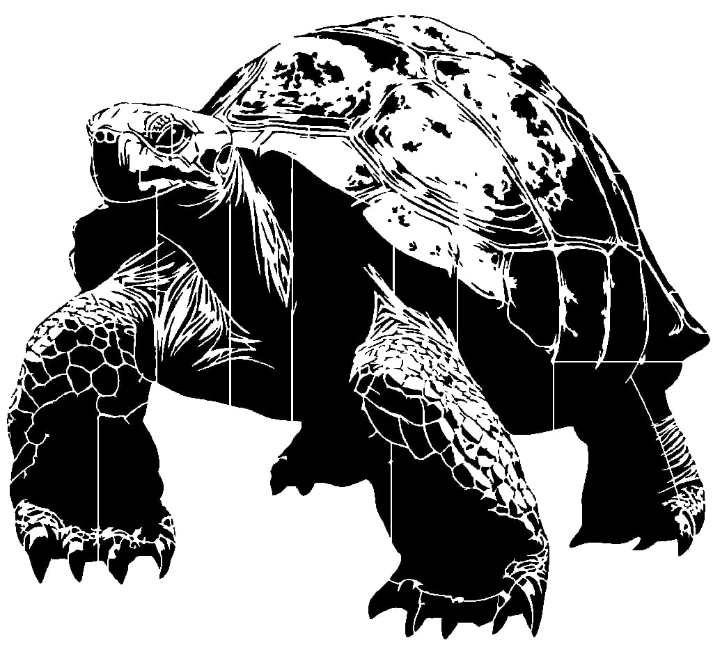 Galapagos tortoise stencil