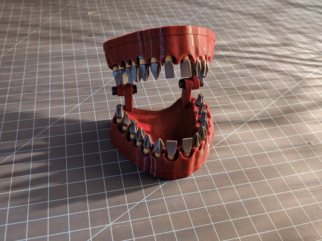 Denture Bit Holder With Magnets!