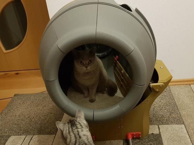Self Cleaning Cat Toilett Cat Litter Box By Der Stihl Thingiverse