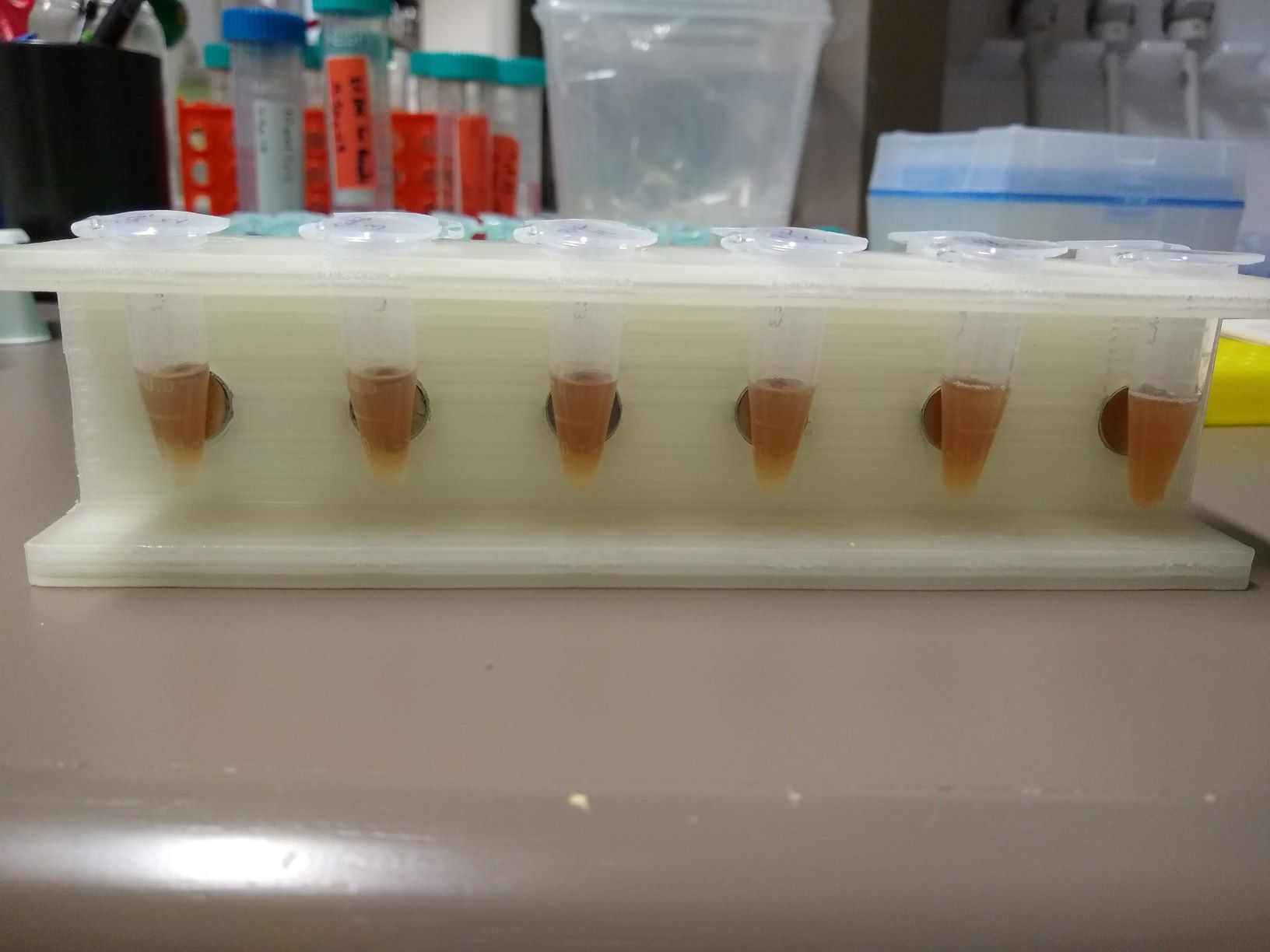 12 Well Magnetic Separation Rack for 1.5 ml Tubes