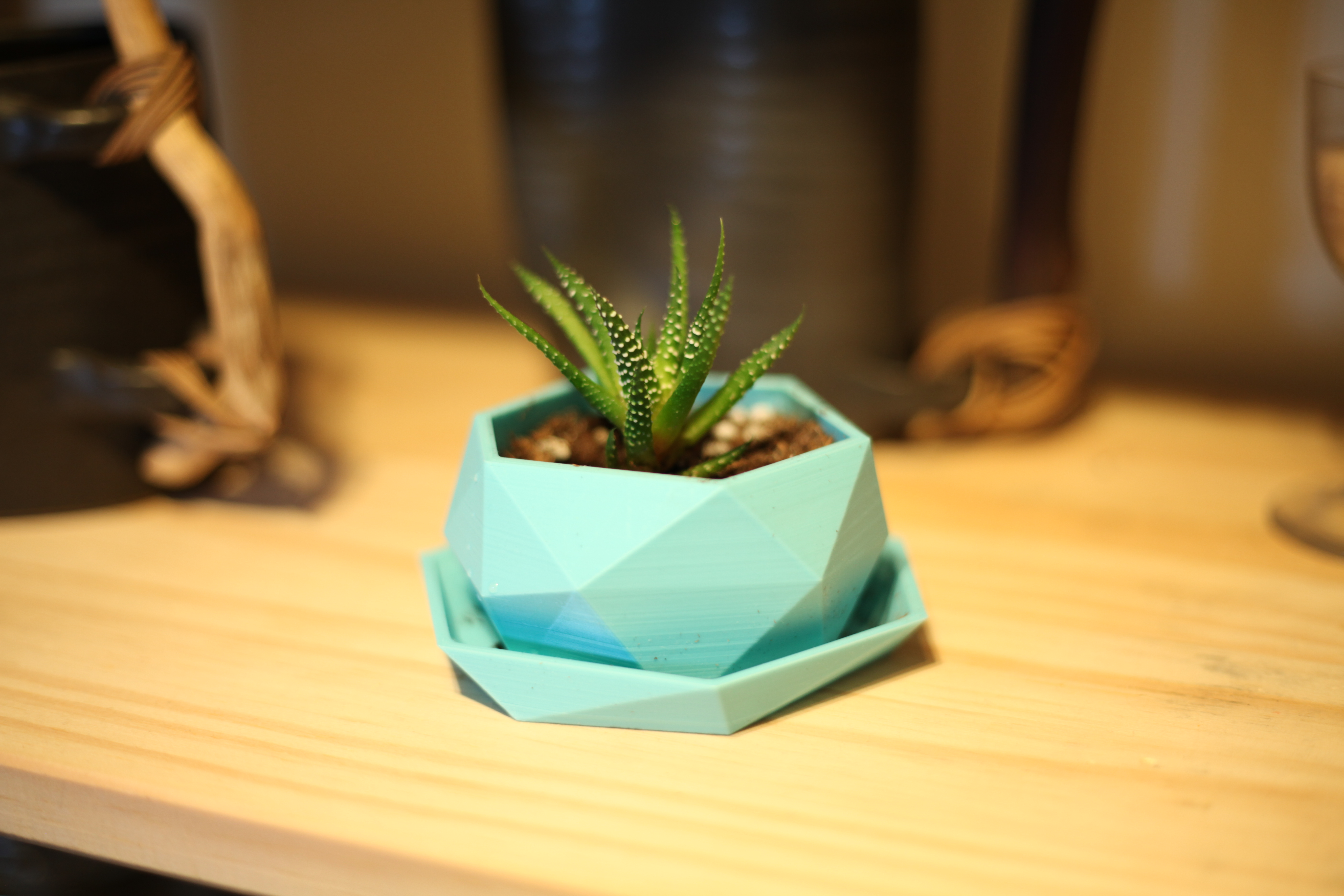 Low-Poly Mini Plant Pot