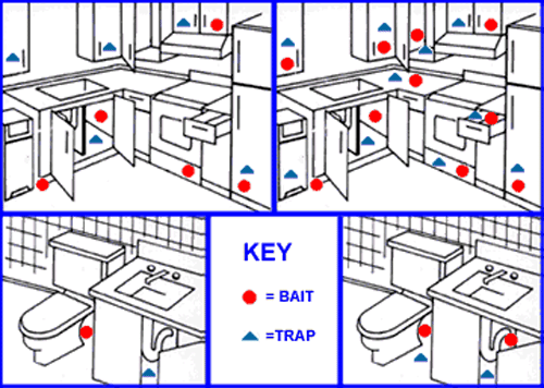 Miniatura 4 do modelo 3D Cockroach Bait stations