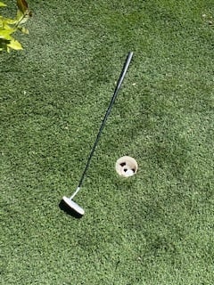 Putting Green Cup
