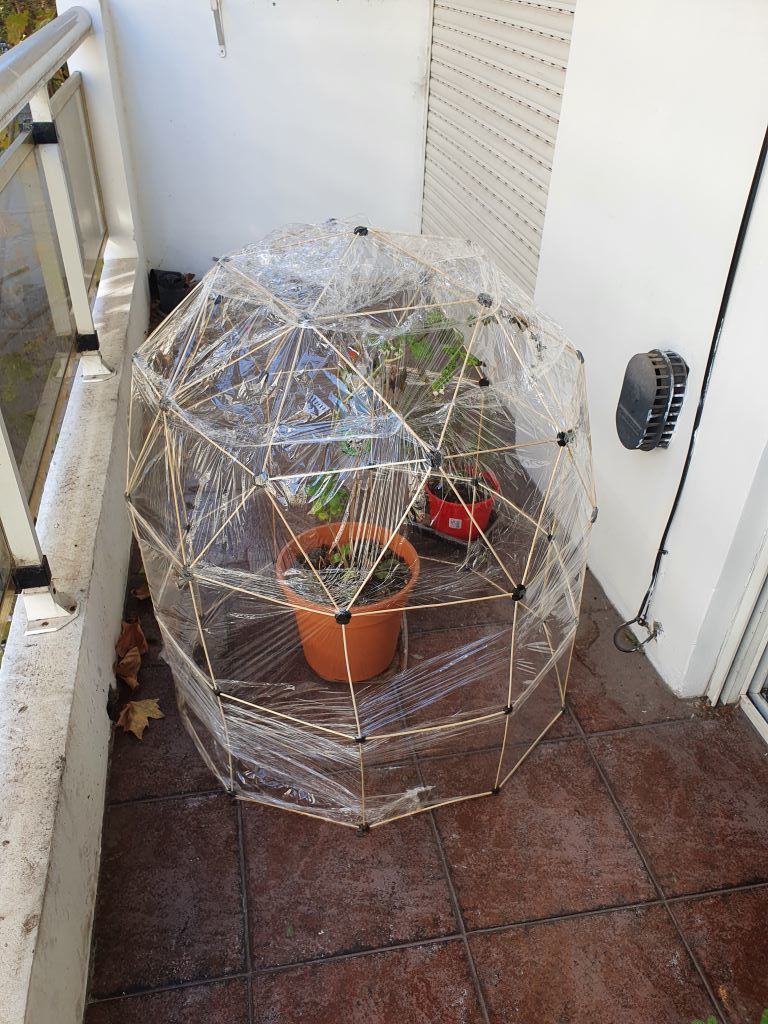 geodesic dome greenhouse extension