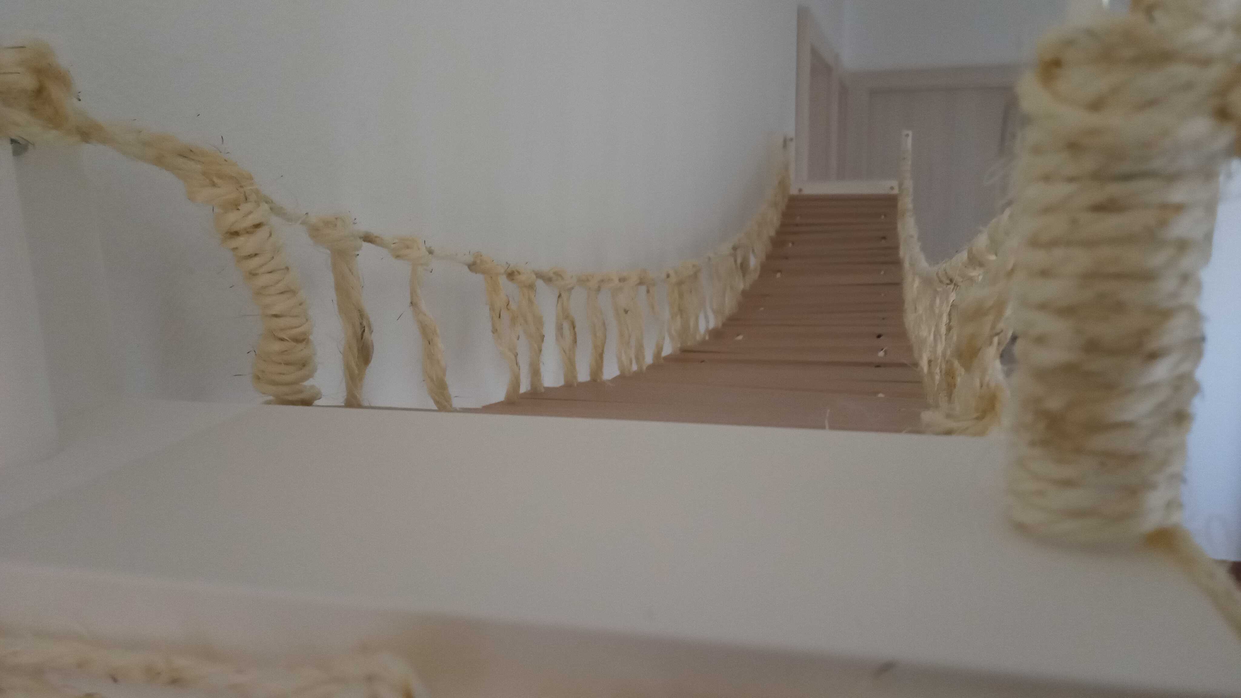 Bridge for  cat / Pont pour chat