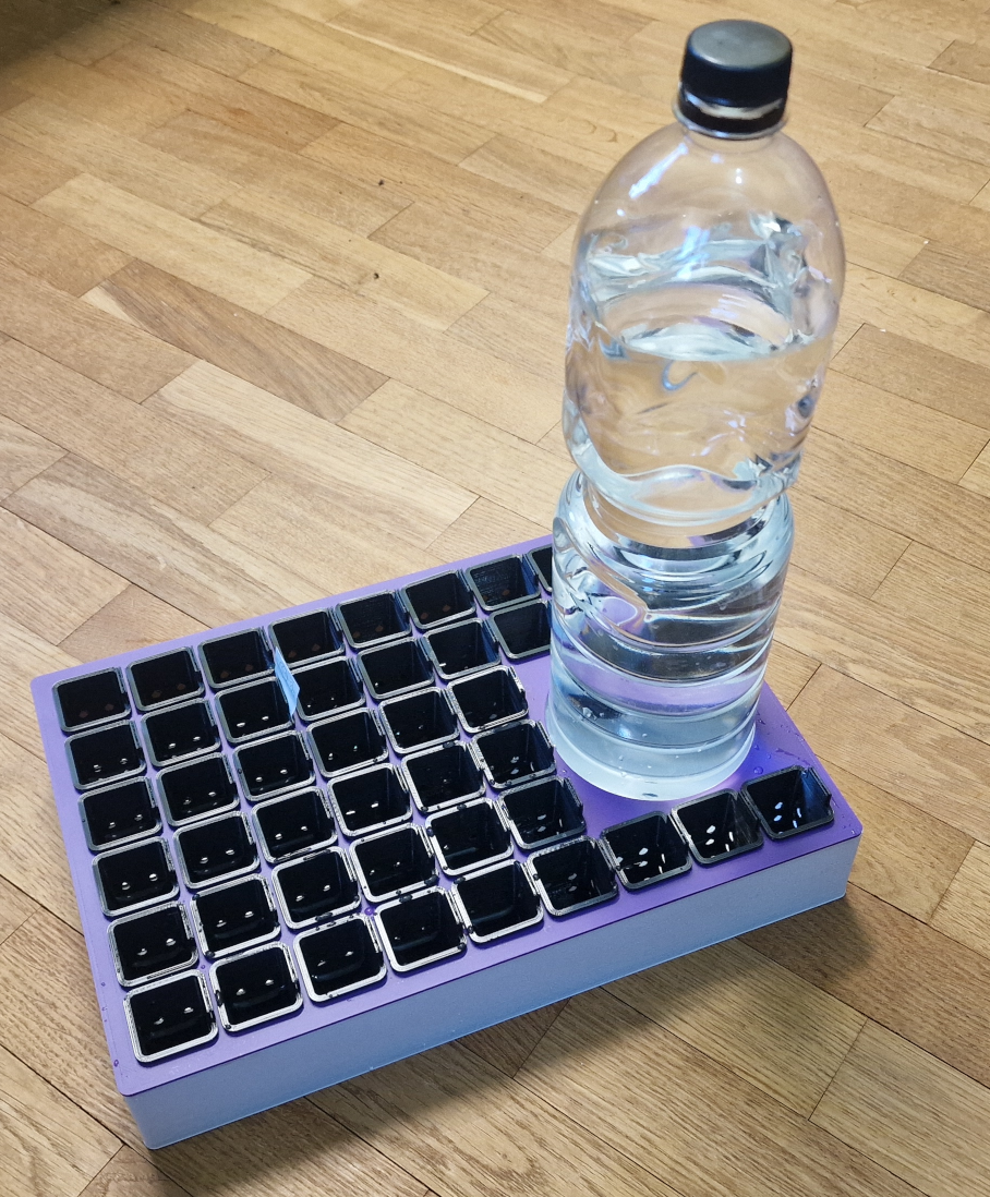 self watering seed starter