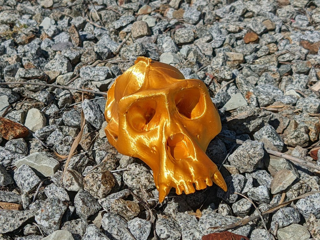 Gorilla skull for FDM printing