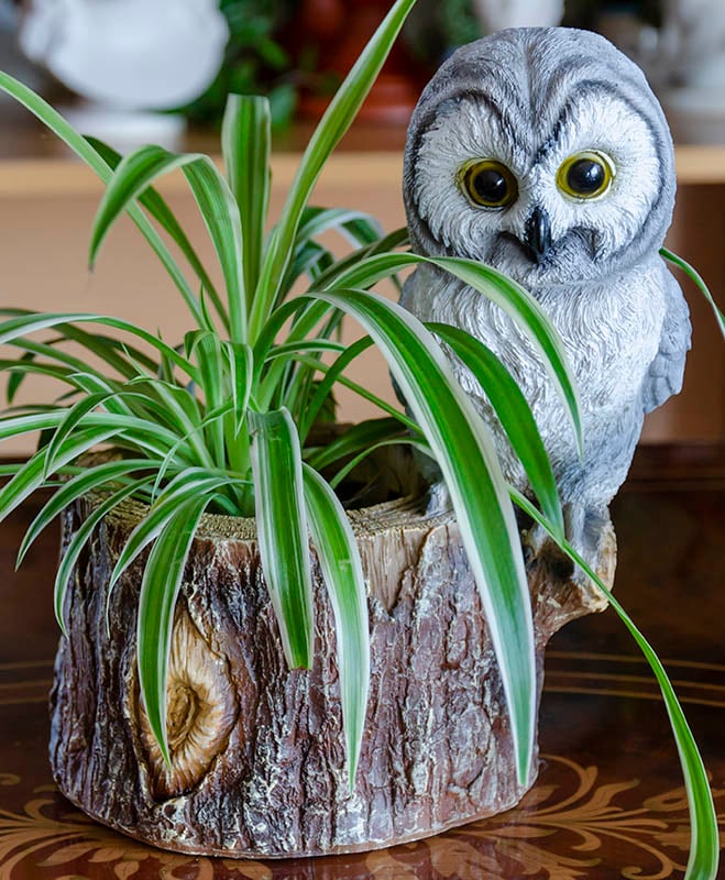 Owl planter/desk organizer/item holder
