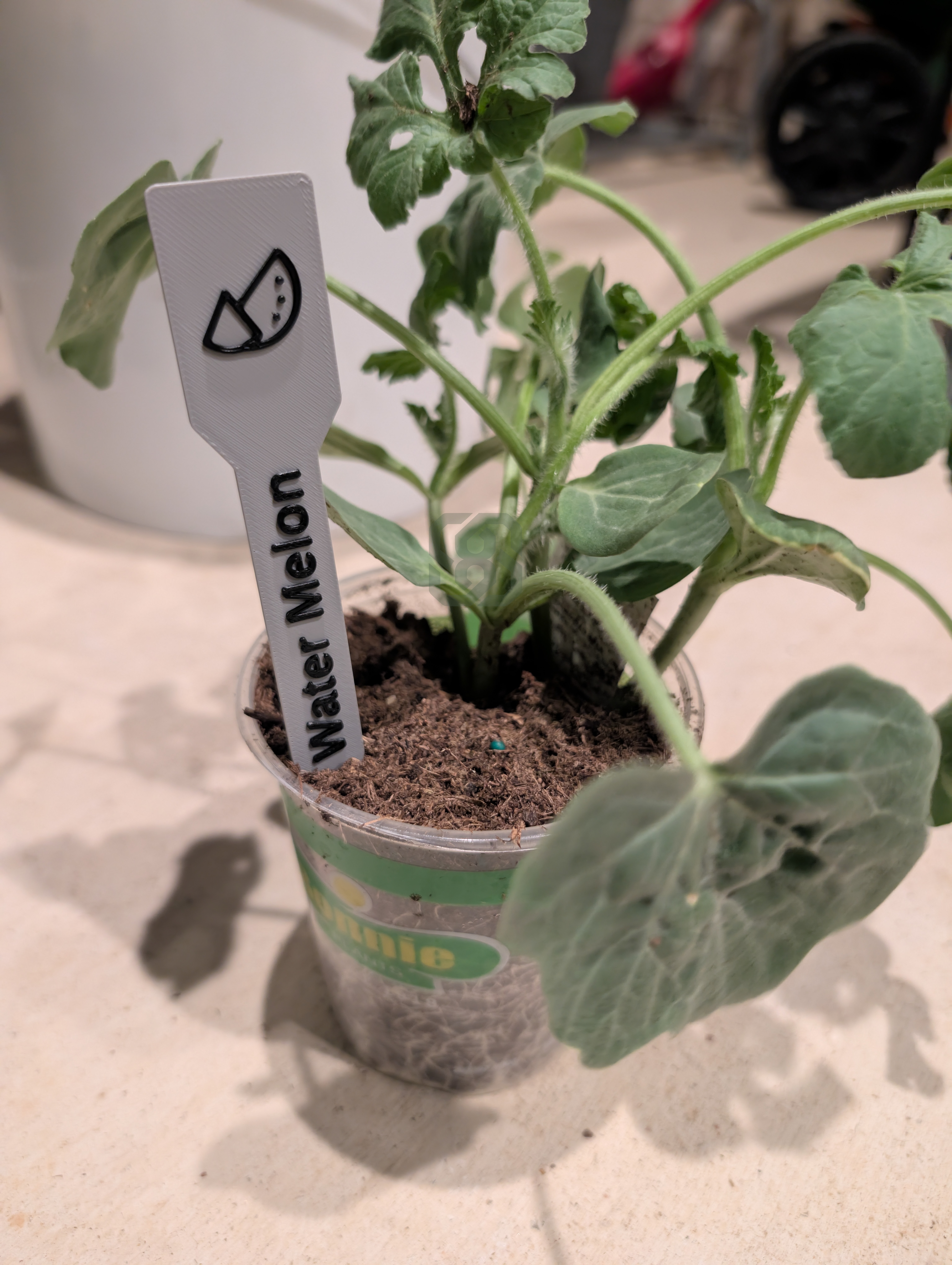 Garden Stakes | Customizable