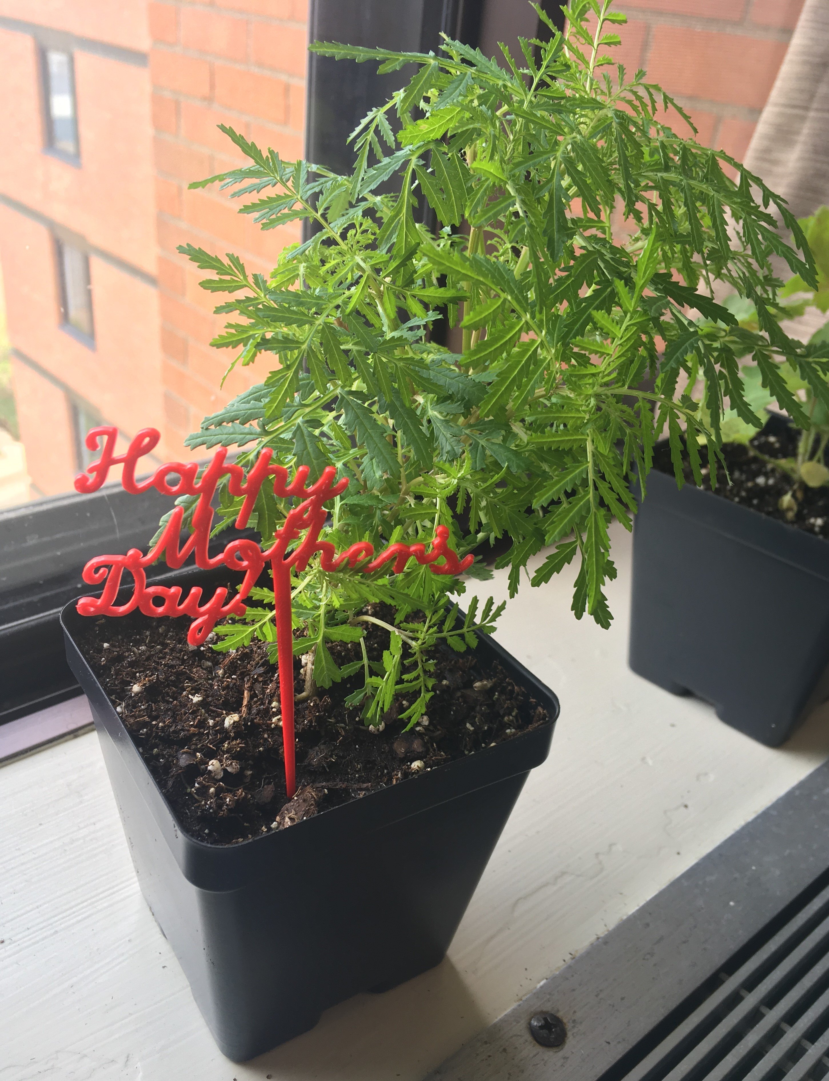 Mother's Day Plant Stake