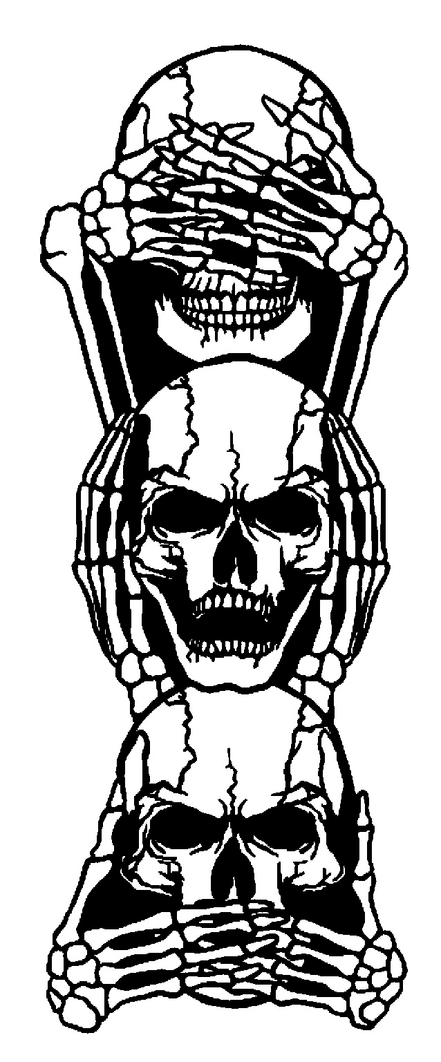 2D Wise Skulls