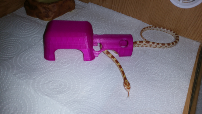 Snake Hide