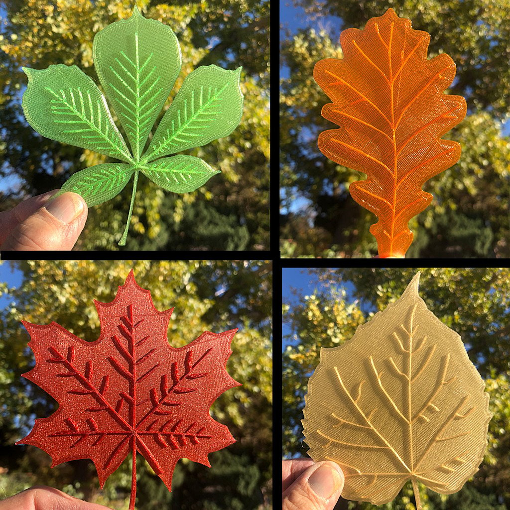 Fall Leaves - 4 Leaf collection