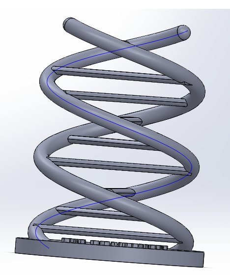DNA MODEL